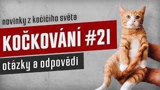 KOČKOVÁNÍ #21: Stream: otázky a odpovědi by Kočkování 67 views 4 months ago 1 hour, 50 minutes