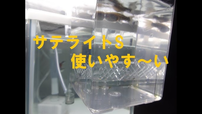 メダカ水槽 スドー サテライトの設置 できるだけ無音と無飛沫 水流と流量の対策 Youtube