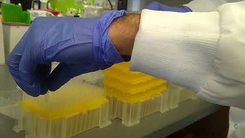 Refilling pipette tip racks