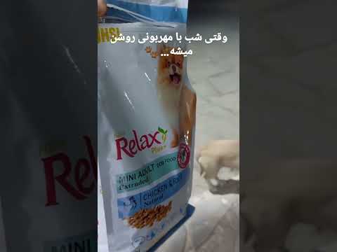 هر شب که میاد راحت میخوابم باخیال راحت دوست سگها غذا رسانی کمک رحمان گربه حق زندگی هاپو