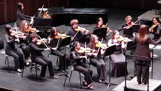 Spring Orchestra Concert