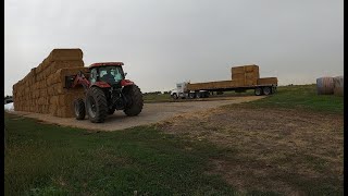 unloading straw bales