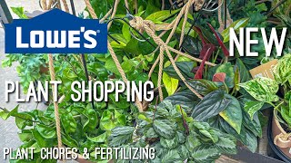 INSANE Plant Finds at Lowes! Massive Plant Shipment! Hoyas, Syngoniums, Pothos & More!