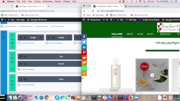 Wordpress Extra Divi Theme For a Beginner