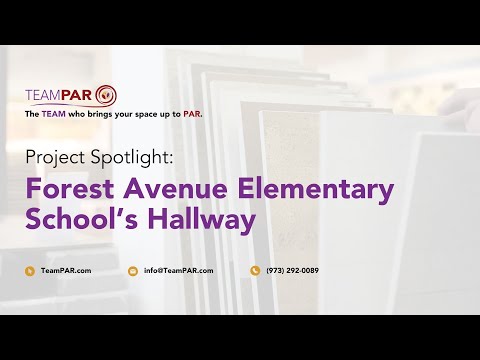 Project Spotlight: Forest Avenue Elementary School's Hallway