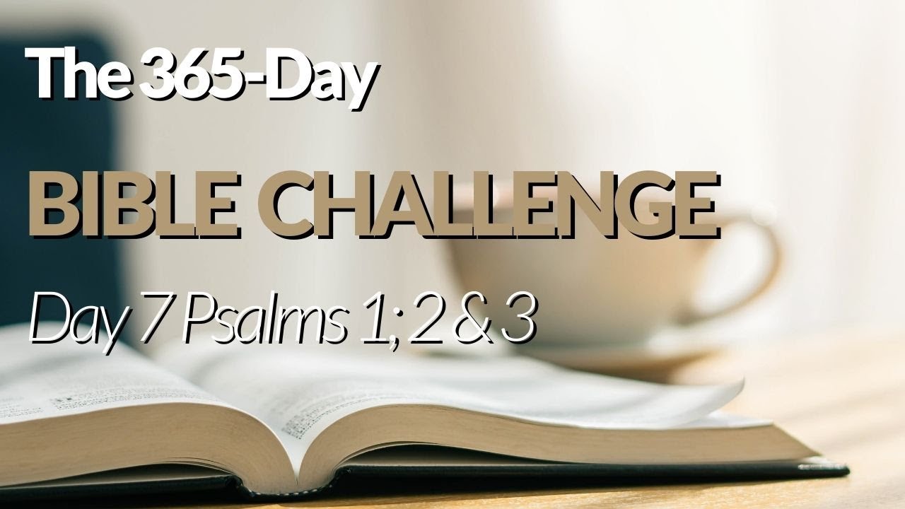 365 Day Bible Challenge | Power Read The Bible – MKEAYJ