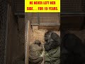 HE NEVER LEFT HER SIDE… FOR 19 YEARS #GorillaLove #Ndakasi #TrueStory #trending #viral #shorts