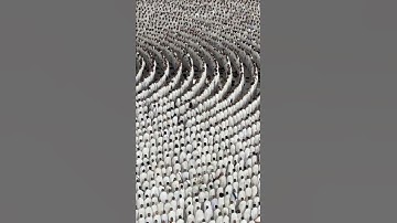 بكاء الشيخ ياسر الدوسري #سورة_هود