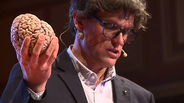 Brain concussion - Shake it and you break it | Steven Laureys | TEDxLiège