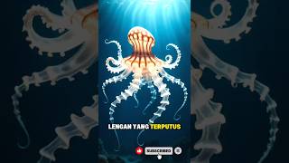 Fakta Unik Gurita #faktaunik #shortvideo #shorts #gurita #youtube