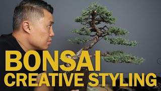 Juniper Bonsai Styling  Working with Average Material