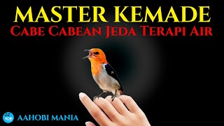 MASTER KEMADE CABE CABEAN Jeda Terapi Air AMPUH