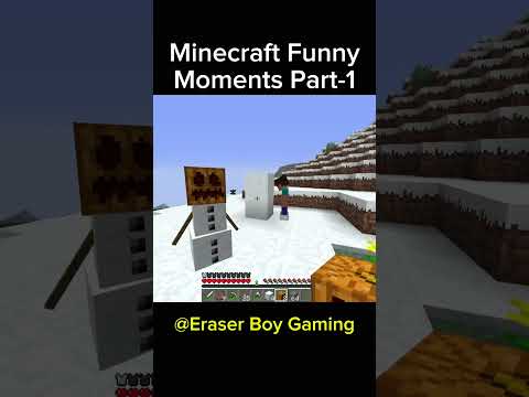Minecraft Funny Moments