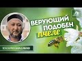 Верующий подобен пчеле - Нурмухаммад Иминов | www.azan.kz