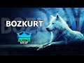 Mzik kalbi  bozkurt  turkish tulum mafya mzii trap remix