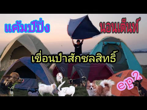 #แค้มป์ปิ่งที่ริมเขื่อน #Camping #เขื่อนป่าสักชลสิทธิ์ #กินเที่ยวแคมป์ปิ้งตกปลากับby_Banana