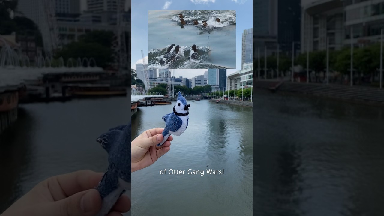 Войны банд «Выдра» в Сингапуре