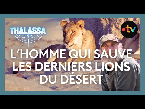 To survive, they eat seals but... - Thalassa