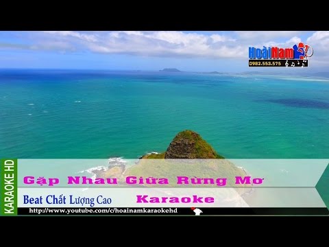 Karaoke Gặp Nhau Giữa Rừng Mơ