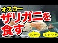 【アクアリウム】 水槽で熱帯魚を飼う #57 オスカー ザリガニを食す 2017.8.15