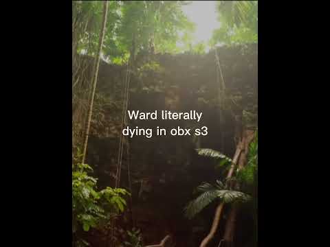 I wouldn’t be