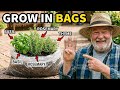 Grow These 3 Herbs in Bags (You Can't Mess This Up)