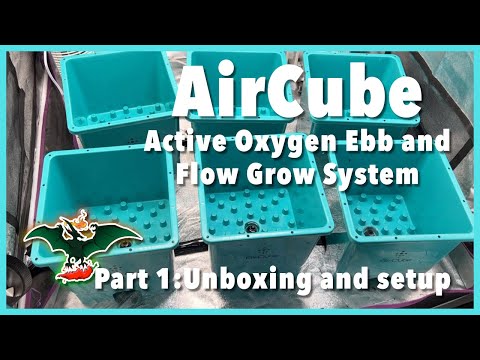 AirCube Active Oxygen