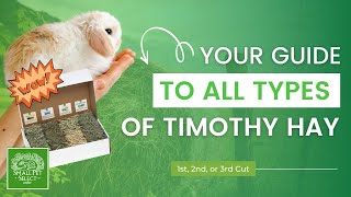 Your Guide to EVERY Type of Timothy Hay (3 DIFFERENT Cuts??)