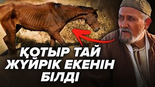 картинка: БЕЖУДІҢ СЫНШЫЛЫҒЫ❗