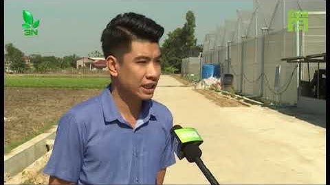 Mô hình ứng dụng GCA - Blockchain trong nông nghiệp