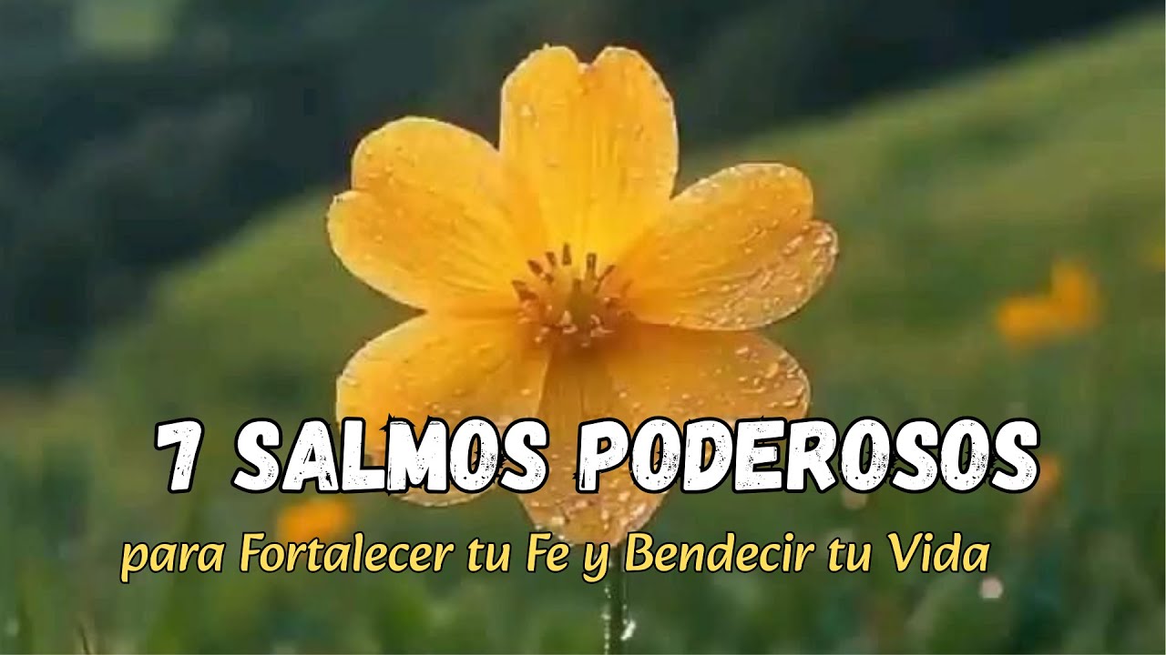 7 Salmos Poderosos para Fortalecer tu Fe y Bendecir tu Vida Escucha y ...