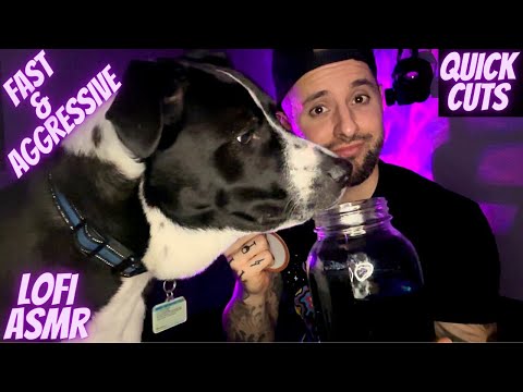ASMR | LOFI Fast & Aggressive Random Triggers (Quick Cuts)