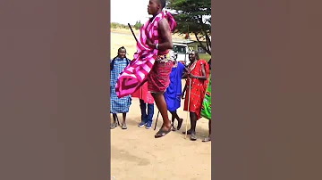 The Highest Jump By Maasai Warrior 