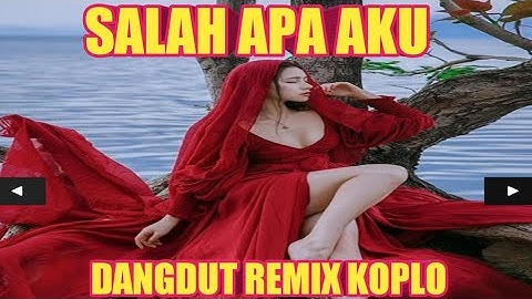 SALAH APA AKU - BURUNG GAGAK - DANGDUT REMIX - KOPLO - TIKTOK VIRAL
