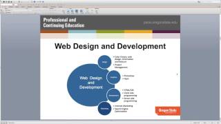 Web Design & Online Coding Bootcamp Preview
