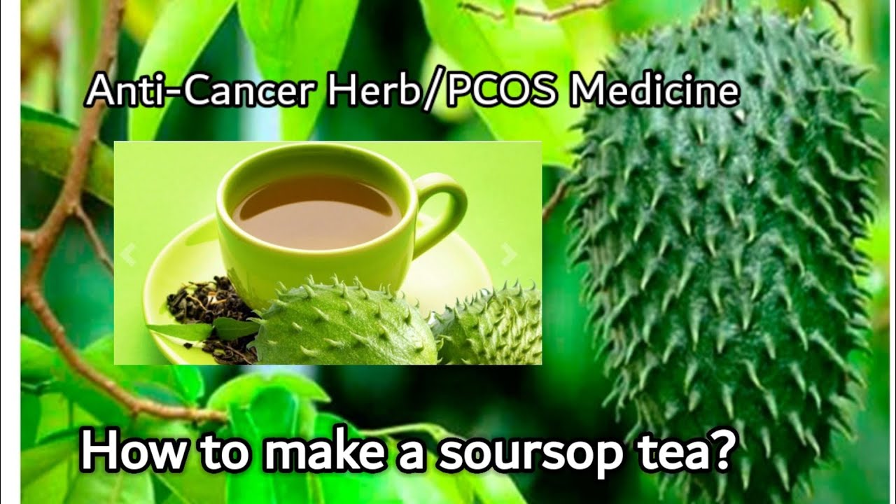 How To Make Soursop Tea Guyabano Anti Cancer Pcos Hypertension Highblood Sugar Remedy Youtube
