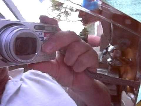 New nagra 3 hack cable sky free