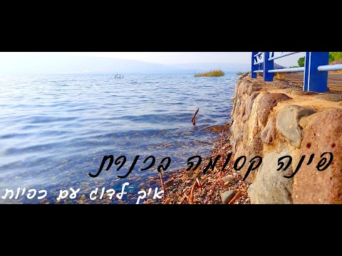 וִידֵאוֹ: איך ולמה לדוג ביוני (עד שהמים מתחממים)