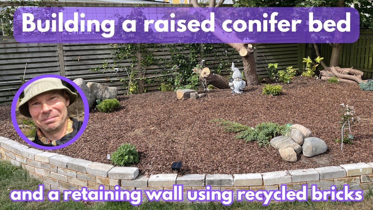 How I Built My Conifer Garden — Raised Bed, Brick Wall & Dwarf Conifers