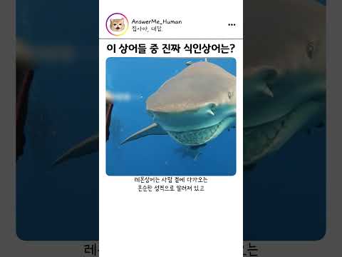 이 <strong>상어</strong>, 사람을 먹을까?
