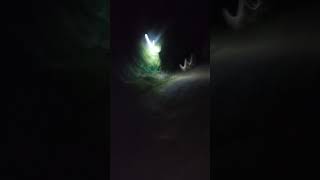 Dinámica para Suscriptores Pueblo Nuevo #parati #viral #dinamika #videoshort