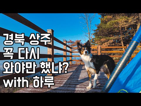 [4K][sub] 3일만에 다시 상주에 온 이유 | 하루는 출렁다리가 무서워😵 |  짧은 등산, 최고의 경치를 찾아서 백패킹!
