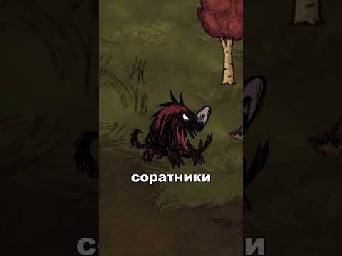 DONT STARVE: КРАТКИЙ ГАЙД НА ЛЕТО