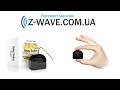 Настройка Z-Wave реле от Fibaro (FIB_FGS-221, FIB_FGS-211)