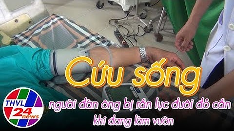 Cứu sống người đàn ông bị rắn lục đuôi đỏ cắn khi đang làm vườn
