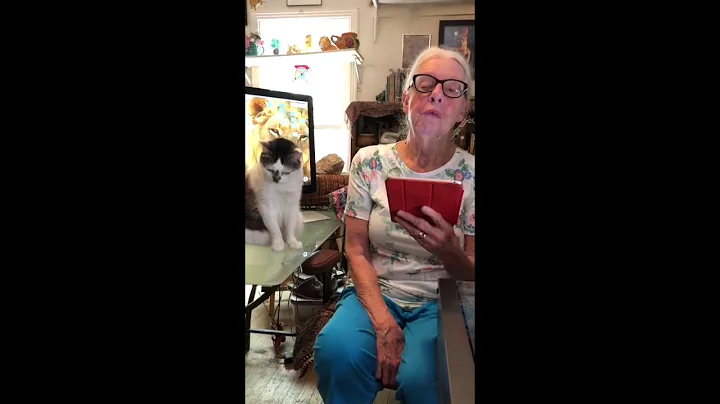 Learning from our Wisdom Poets - Sue Mahon
