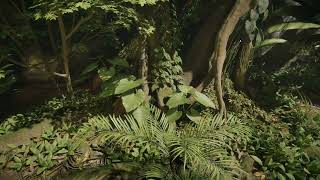 Jungle - Release 3.0 - FPS