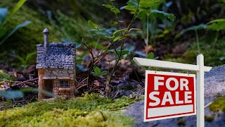 Miniature gnome home [Kirkledrack property]