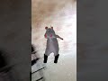 rat dance #memes #funny #shalom #greenscreen #dance SHALOM GAMING WORLD 🌍.