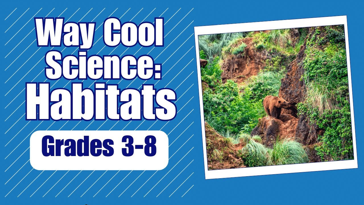 Download All About Habitats - More Way Cool Science on the Learning Videos Channel